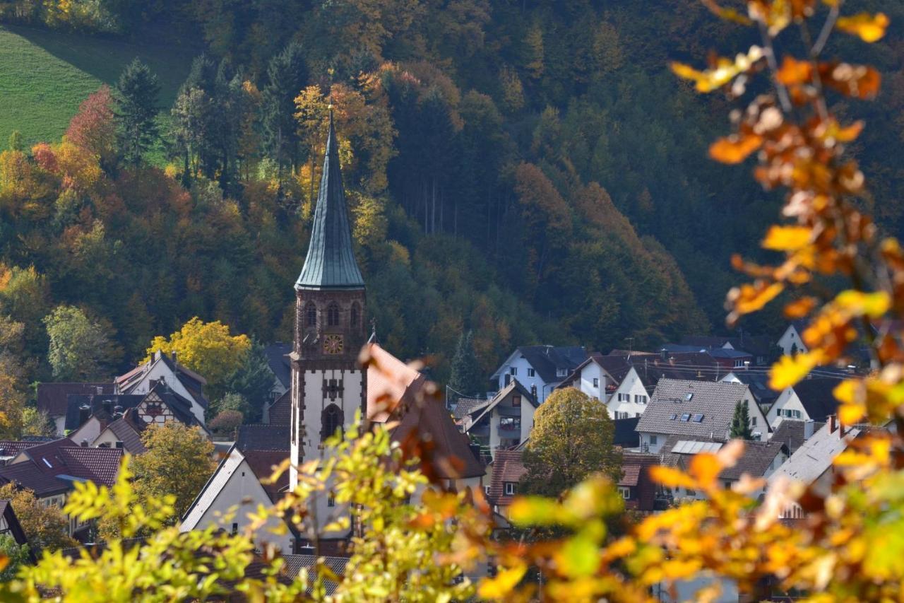 Апартаменти Haus Reichenbach Ґлоттерталь Екстер'єр фото